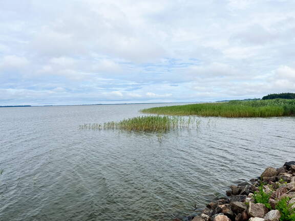 24-06-30 11-46-54 0032